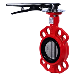 Затвор поворотный Ду  50 Ру 16 с диском из чугуна с рукояткой КРАСНЫЙ Ridval RVB 01 thumbnail